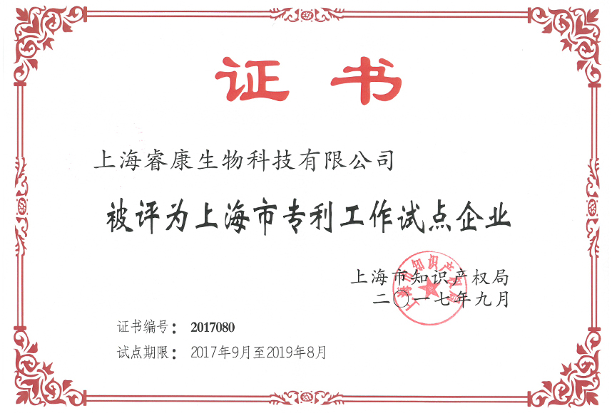 上海市专利工作试点企业